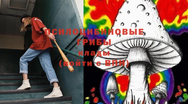 COCAINE Новодвинск