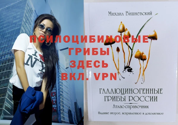 Альфа ПВП Новозыбков