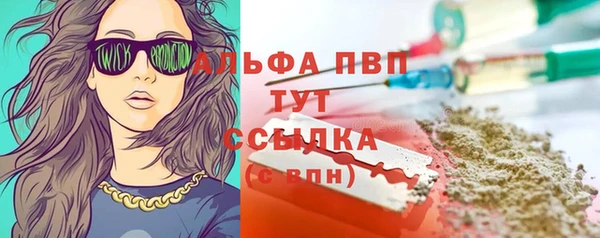 Альфа ПВП Новозыбков
