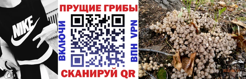 что такое наркотик  Новое Девяткино  мега зеркало  Псилоцибиновые грибы мухоморы 